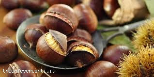 t201611307103438_castagne t201611307103438_castagne