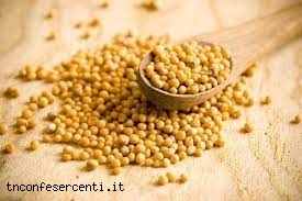 t202112362101801_seni_di_senape
