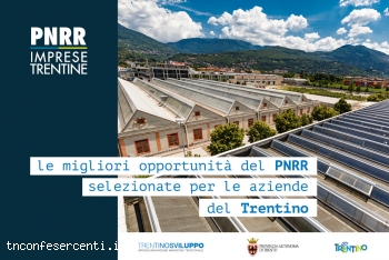t202211333104349_pnrr
