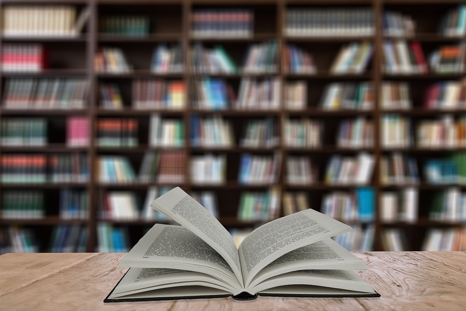 Cultura: Sil Confesercenti scrive al Ministro Giuli su Piano Olivetti,“Senza un tetto agli sconti, la misura rischia di penalizzare le piccole librerie”